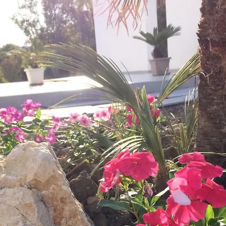 Sorahnia - Design House Bed & Breakfast 3*